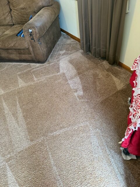 Clean, recently vacuumed beige carpet visible in a living room
