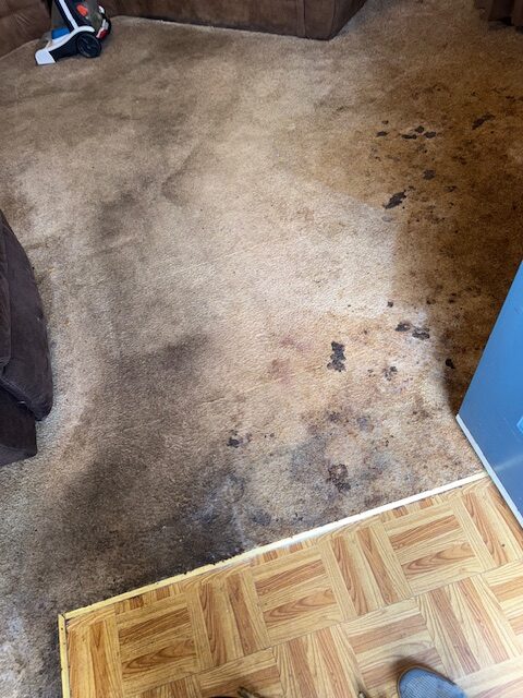 Stained carpet in a living room, showing dark splotches and discoloration