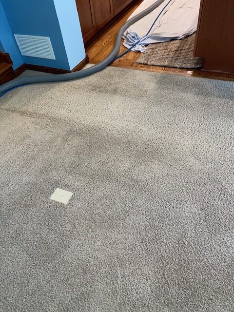 Clean carpet in a residential space, featuring a vacuum hose and a small patch of discoloration.
