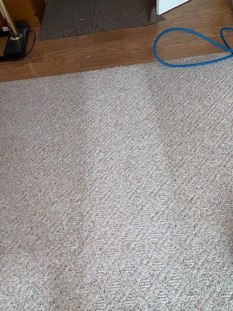 A cleaned section of beige carpet shows a noticeable contrast with the uncleaned area