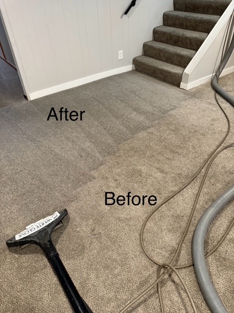 Carpet cleaning results displayed: the left side labeled "After" shows a clean surface, while the right side labeled "Before" appears dirty.