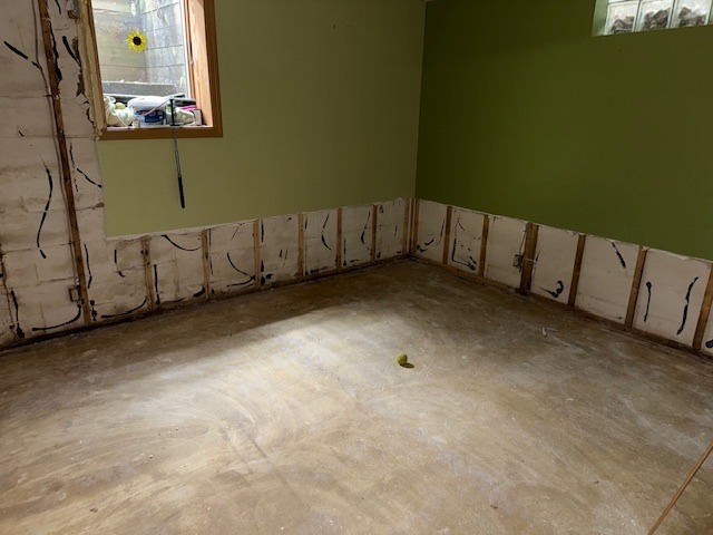 Renovated room showing exposed walls and unfinished flooring, with a green wall and a small object on the floor, indicating an ongoing project.
