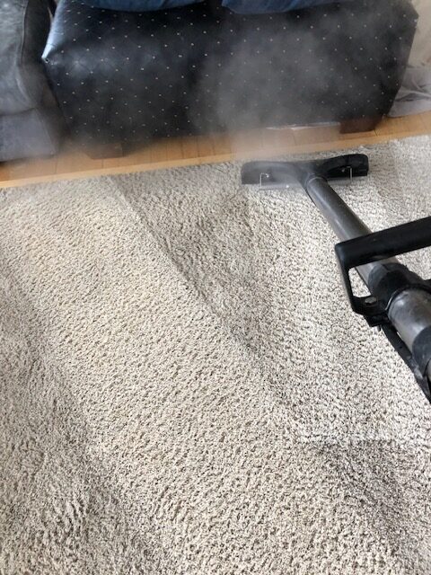 Steam cleaning a light-colored carpet, with mist rising from the area being cleaned. A dark sofa is visible in the background.