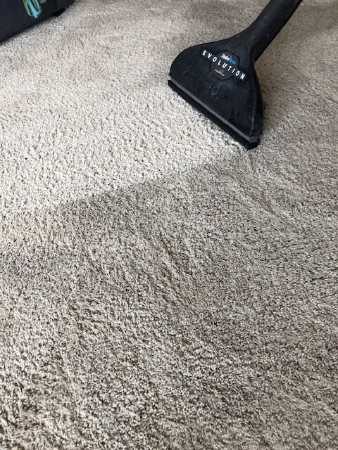 A carpet cleaner nozzle glides over freshly cleaned carpet, revealing a clean, textured surface alongside areas still soiled.