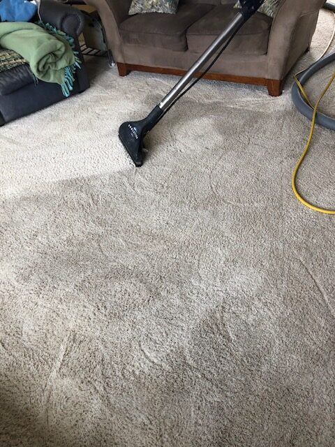 A carpet cleaner is in use on light-colored carpet, with a couch and green blanket visible in the background. The image illustrates carpet maintenance.